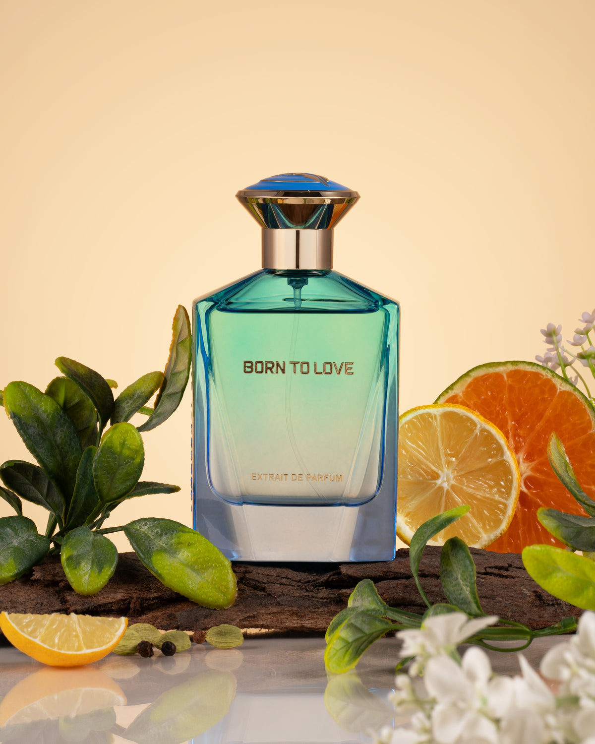 Fragrance Story Born to Love