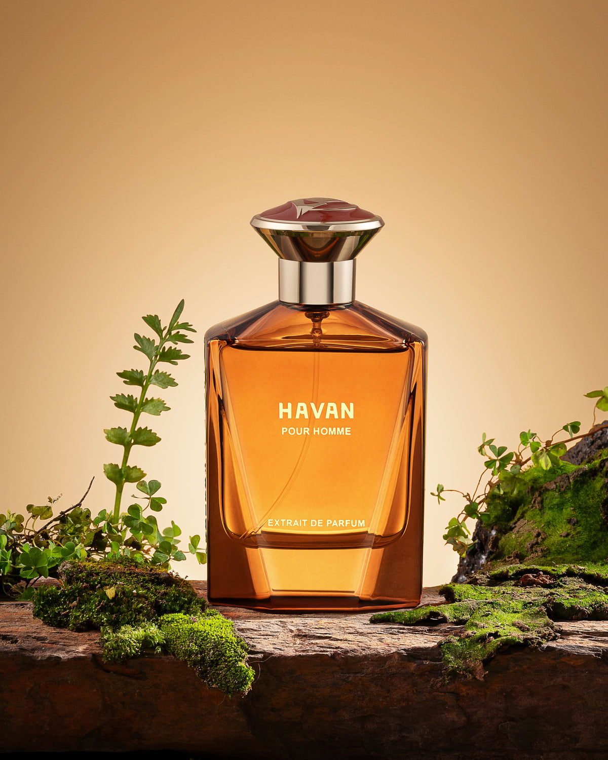 Fragrance Story Havan