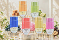 Shaikh Saeed Bliss Collection
