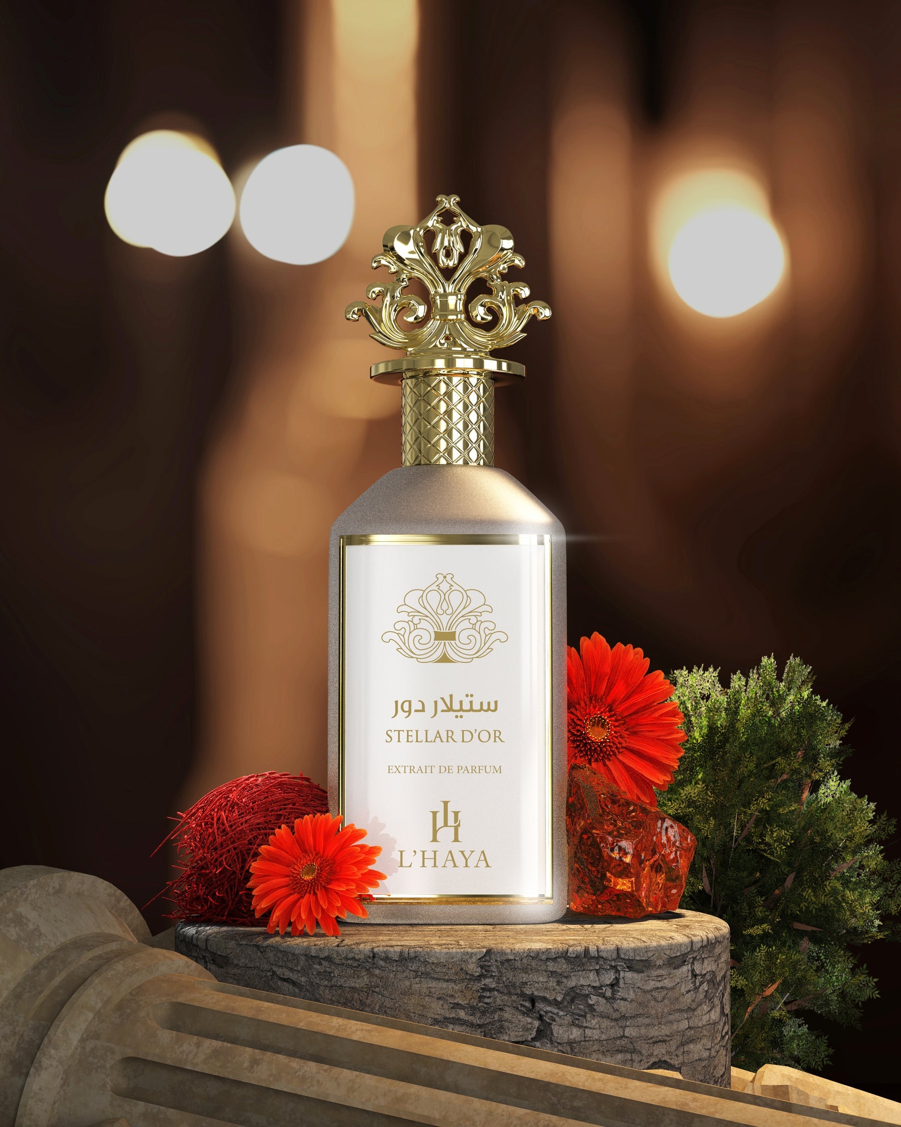 L’Haya- STELLA D’or